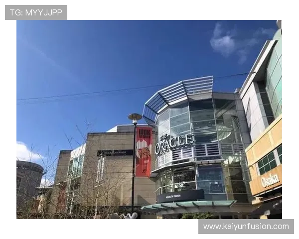 围绕雷丁俱乐部发展历程与未来前景的全面深度解析与观察